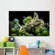 Juvenile Oxynoe Sapsucking Slug Wall Decal