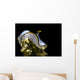 Pale Headshield Slug Romblon Wall Decal