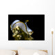Pale Headshield Slug Romblon Wall Decal