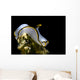 Pale Headshield Slug Romblon Wall Decal