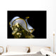 Pale Headshield Slug Romblon Wall Decal