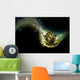 Black-lined Sapsucking Slug Romblon Wall Decal