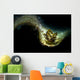 Black-lined Sapsucking Slug Romblon Wall Decal