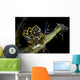 Black-lined Sapsucking Slug Romblon Close-up Wall Decal