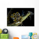 Black-lined Sapsucking Slug Romblon Close-up Wall Decal
