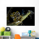 Black-lined Sapsucking Slug Romblon Close-up Wall Decal