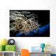 Head Melabi Colemani Nudibranch Close-up Wall Decal