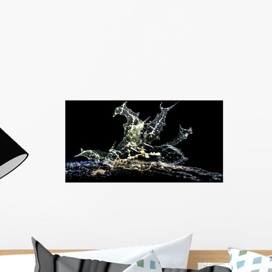 Melibe Engeli Romblon Philippines Wall Decal