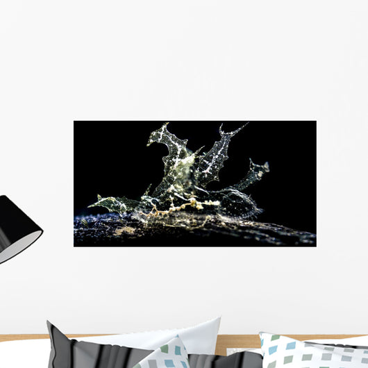 Melibe Engeli Romblon Philippines Wall Decal