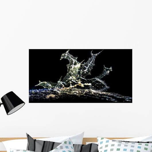 Melibe Engeli Romblon Philippines Wall Decal