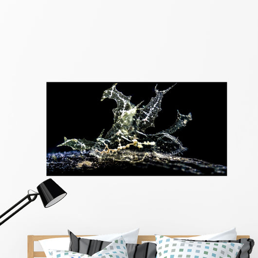 Melibe Engeli Romblon Philippines Wall Decal
