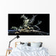 Melibe Engeli Romblon Philippines Wall Decal