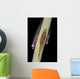 Three Large Whip Gobies Wall Decal