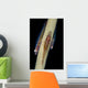 Three Large Whip Gobies Wall Decal