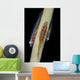 Three Large Whip Gobies Wall Decal