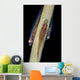 Three Large Whip Gobies Wall Decal
