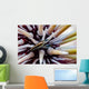 Undescribed Urchin Shrimp Romblon Wall Decal