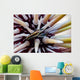 Undescribed Urchin Shrimp Romblon Wall Decal