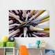 Undescribed Urchin Shrimp Romblon Wall Decal