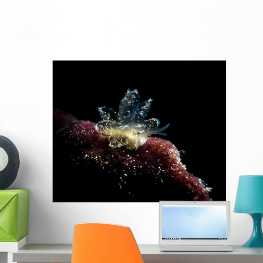Juvenile Black and Gold Wall Decal