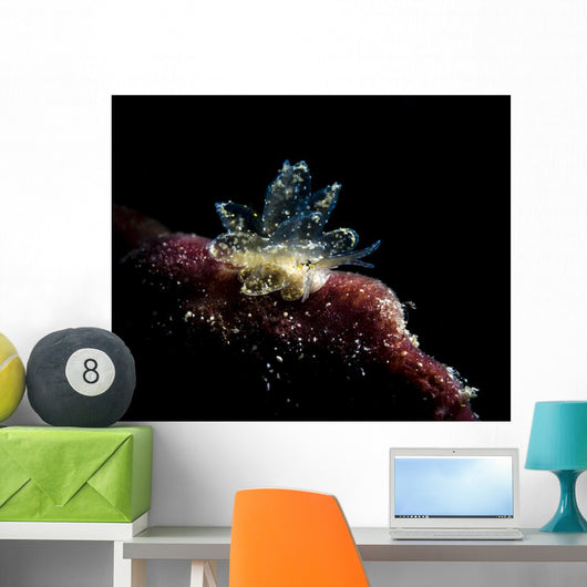 Juvenile Black and Gold Wall Decal