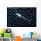 Undescribed Shrimp Larva Egg Underneath Wall Decal