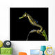 Pelagic Seahorse Floating Black Wall Decal