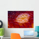 Close-up Spanish Dancer Cebu Wall Decal