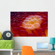 Close-up Spanish Dancer Cebu Wall Decal