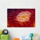 Close-up Spanish Dancer Cebu Wall Decal