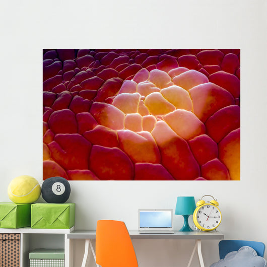 Close-up Spanish Dancer Cebu Wall Decal