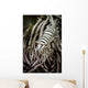 Crinoid Shrimp Cebu Philippines Black and White Wall Decal