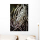 Crinoid Shrimp Cebu Philippines Black and White Wall Decal
