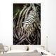 Crinoid Shrimp Cebu Philippines Black and White Wall Decal