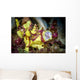 Warty Frogfish Yawning Cebu Wall Decal