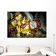 Warty Frogfish Yawning Cebu Wall Decal