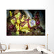 Warty Frogfish Yawning Cebu Wall Decal