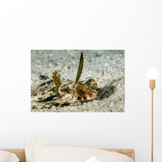 Flying Gurnard Ocean Floor Wall Decal