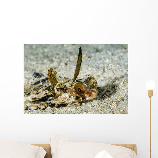 Flying Gurnard Ocean Floor Wall Decal