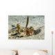 Flying Gurnard Ocean Floor Wall Decal