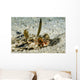 Flying Gurnard Ocean Floor Wall Decal