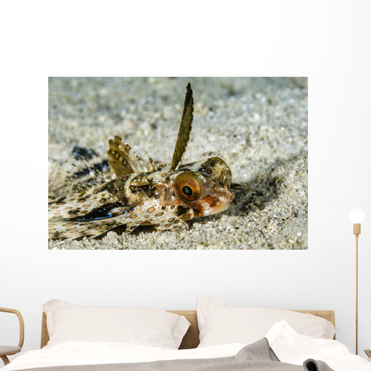 Flying Gurnard Ocean Floor Wall Decal
