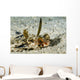 Flying Gurnard Ocean Floor Wall Decal