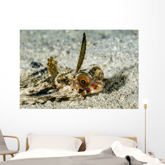 Flying Gurnard Ocean Floor Wall Decal