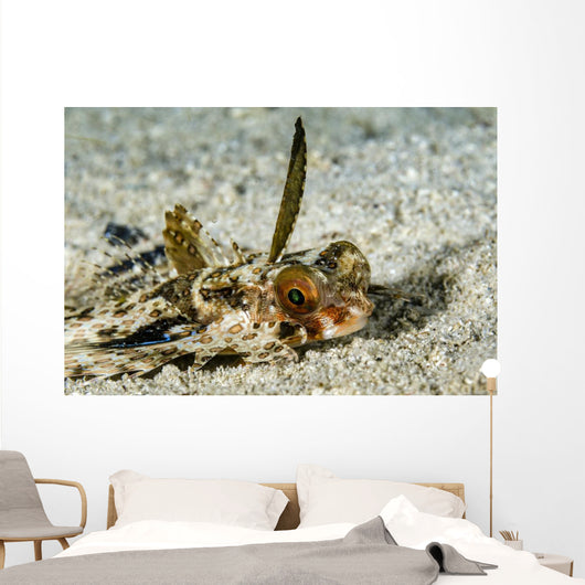 Flying Gurnard Ocean Floor Wall Decal