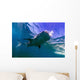 Whale Shark near Surface Wall Decal