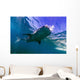 Whale Shark near Surface Wall Decal
