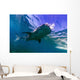 Whale Shark near Surface Wall Decal