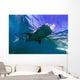 Whale Shark near Surface Wall Decal