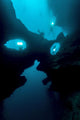 Eerie Underwater Site Cebu Wall Decal